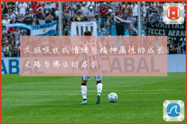 文班吸收我情绪与精神属性的成长之路与佛法的启示
