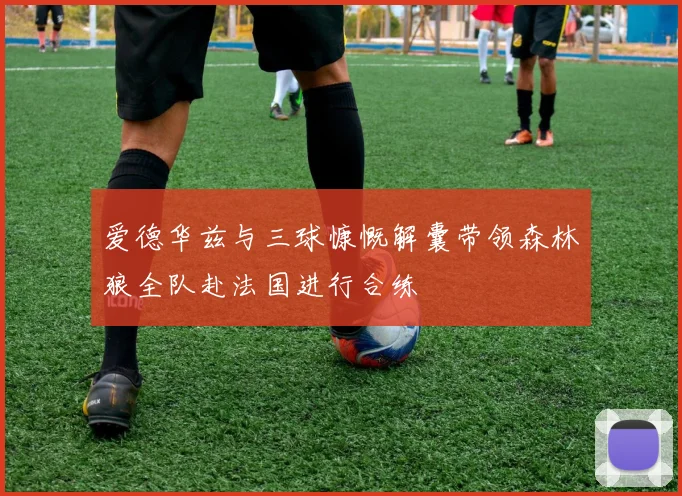 爱德华兹与三球慷慨解囊带领森林狼全队赴法国进行合练